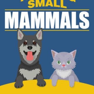 Training Small Mammals - Free eBook